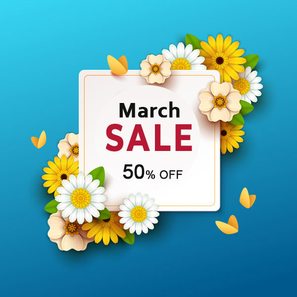 template9.bdbocaraton.com